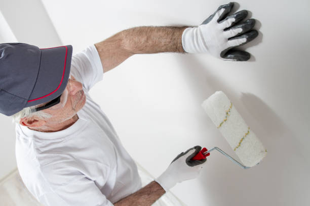 Best Water Damage & Mold Remediation  in Sanborn, IA