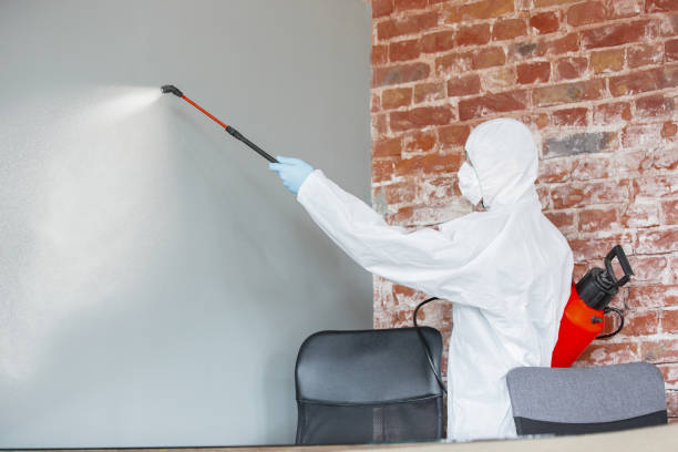 Best Environmental Consulting for Mold Prevention  in Sanborn, IA
