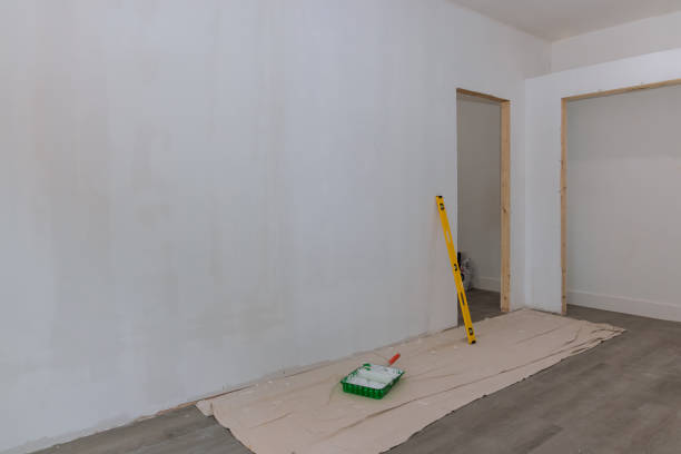 Best Mold Remediation for Vacation Homes  in Sanborn, IA