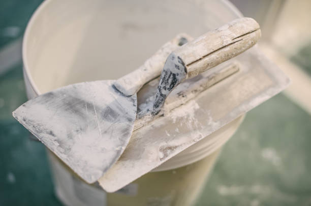 Forensic Mold Investigation in Sanborn, IA